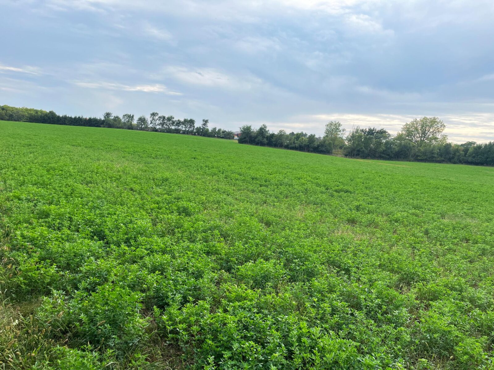 Beatrice, Nebraska home and land for sale