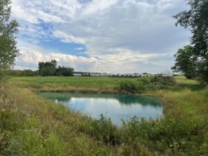 Beatrice, Nebraska home and land for sale