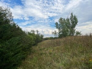 Beatrice, Nebraska home and land for sale