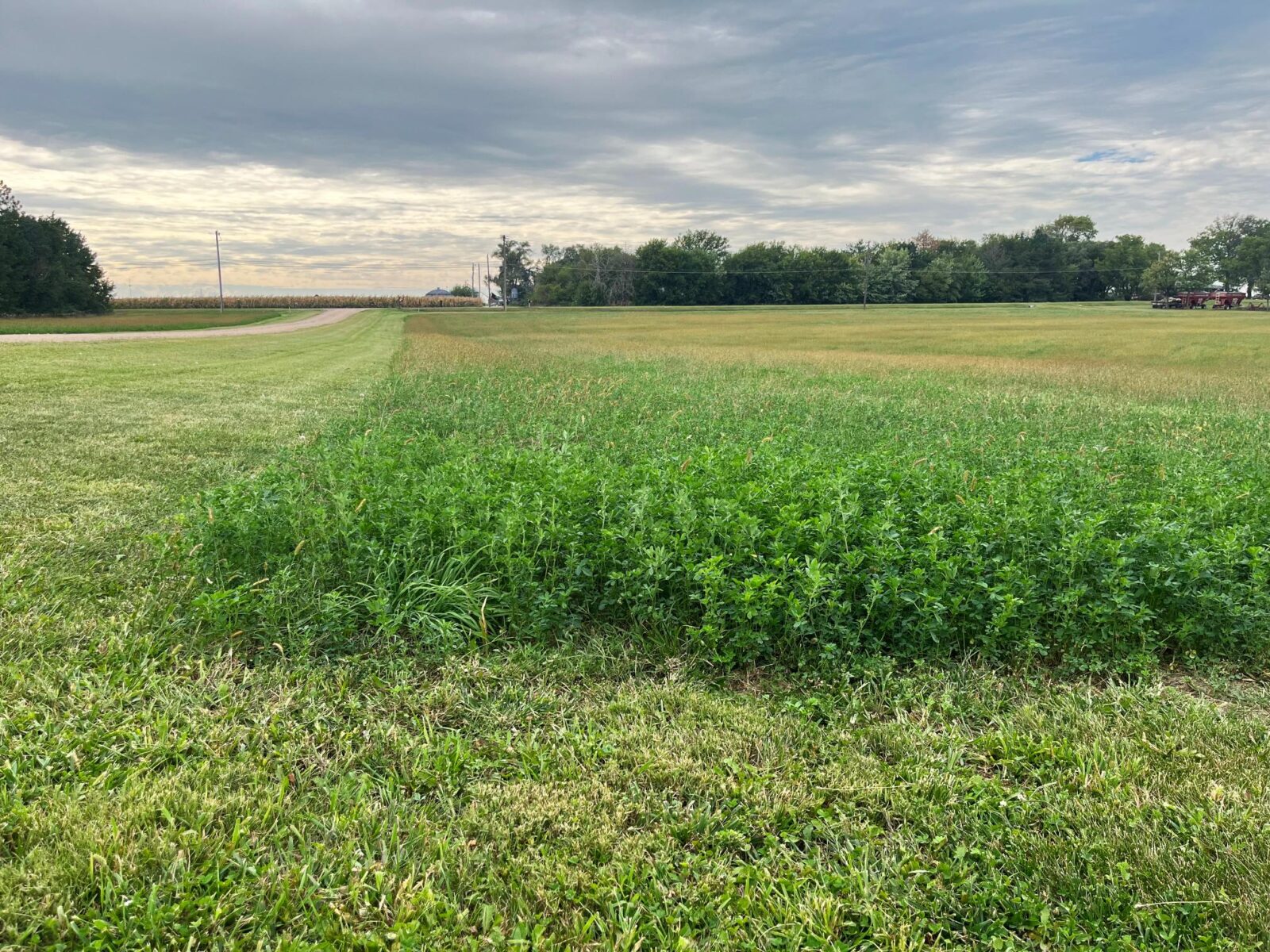 Beatrice, Nebraska home and land for sale