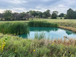 Beatrice, Nebraska home and land for sale