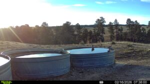 1,319 Acres, Dawes County, Pine Ridge Recreational Oasis