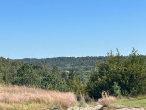 33 Acres, 43542 887th Rd., Long Pine, NE
