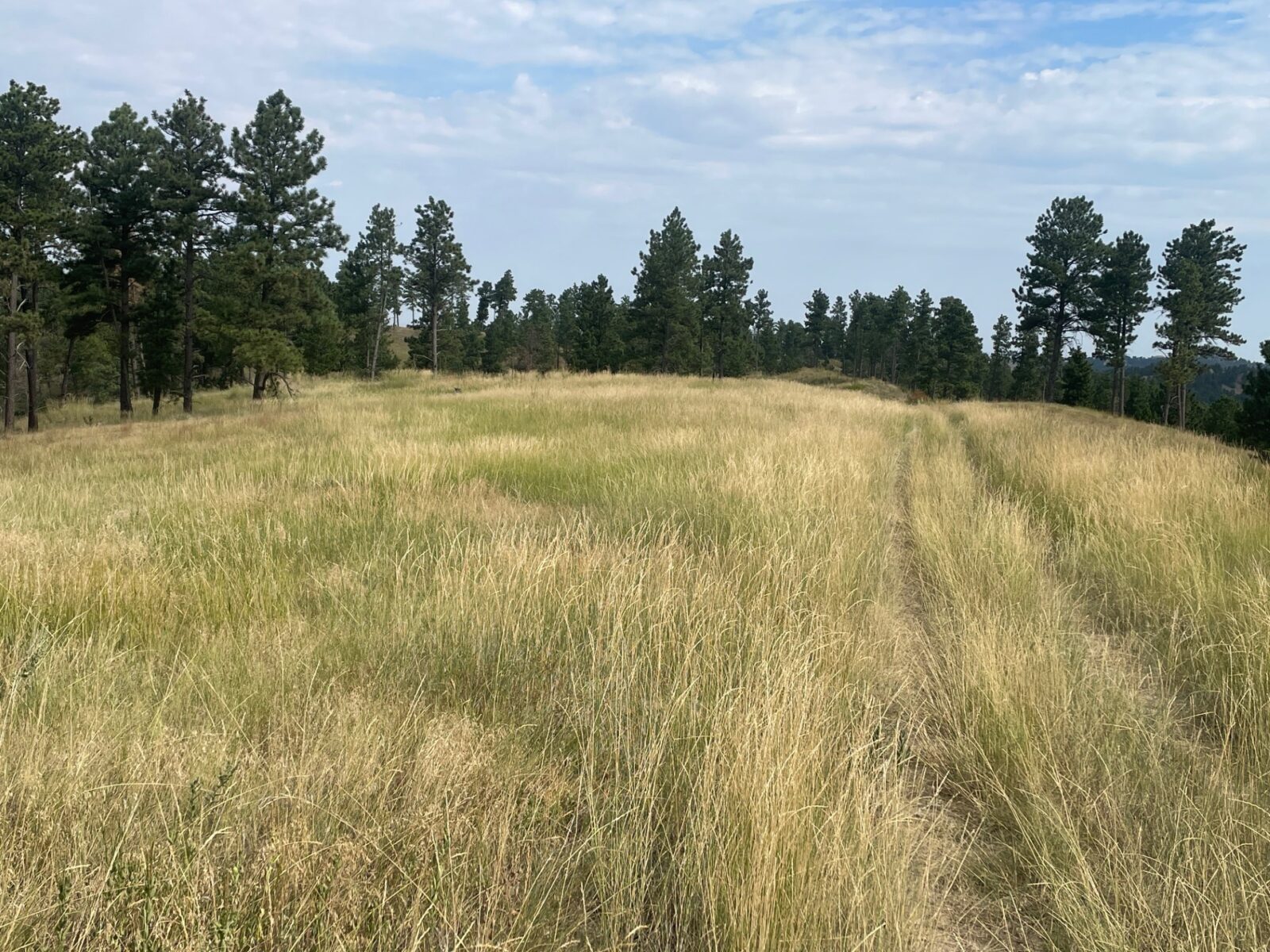 Dawes County Nebraska Chadron land for sale