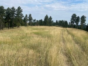 Dawes County Nebraska Chadron land for sale