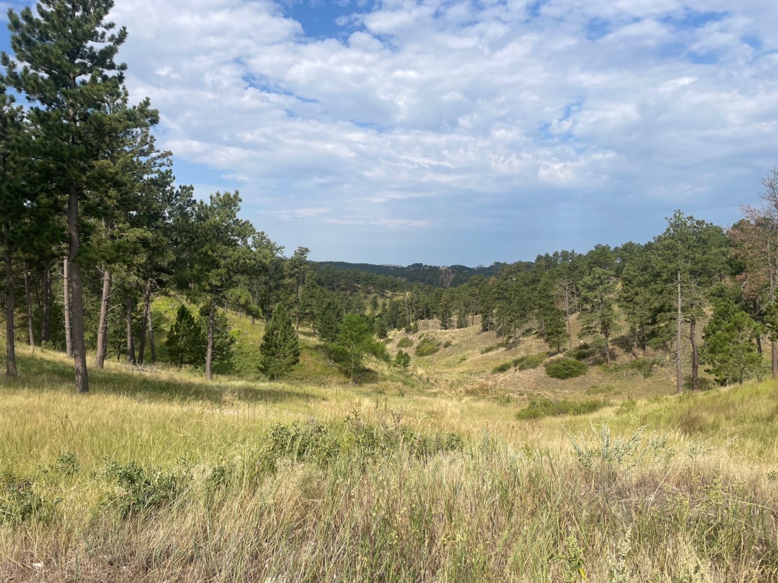 Dawes County Nebraska Chadron land for sale