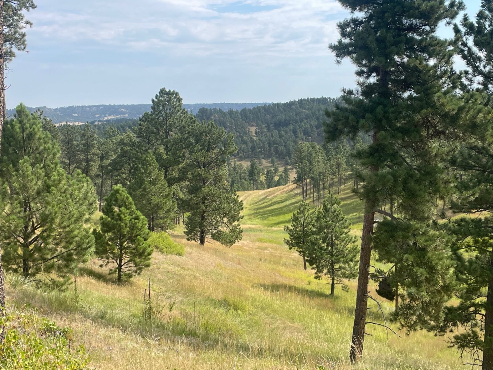 Dawes County Nebraska Chadron land for sale