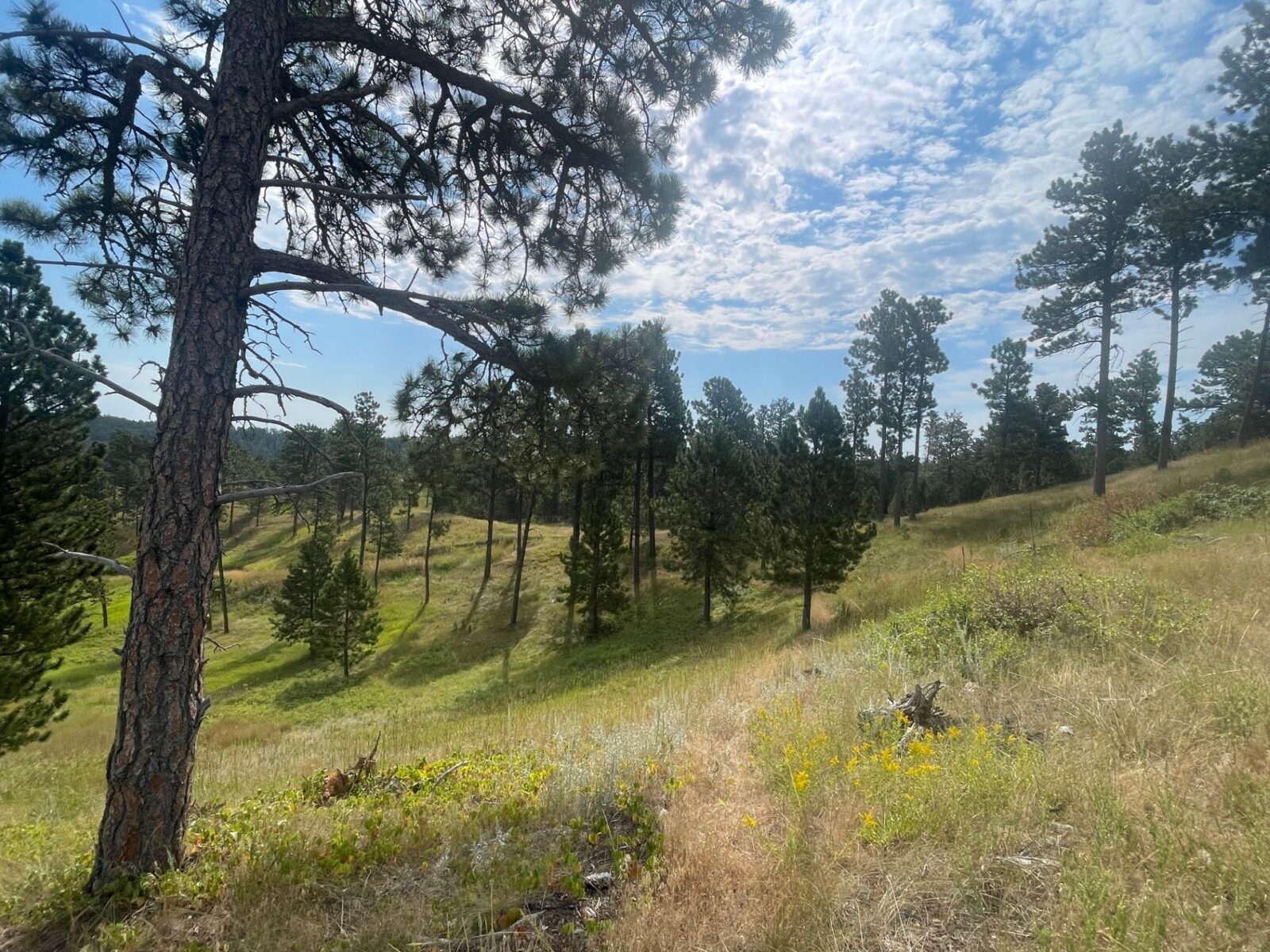 Dawes County Nebraska Chadron land for sale