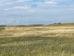 Cheyenne County Nebraska land for sale
