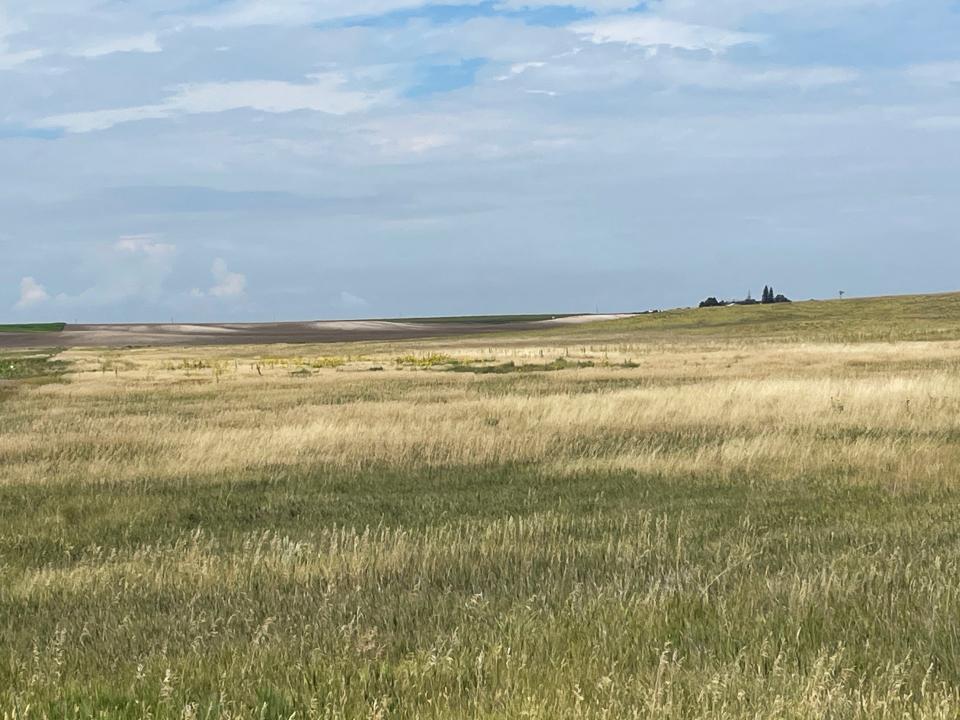 Cheyenne County Nebraska land for sale