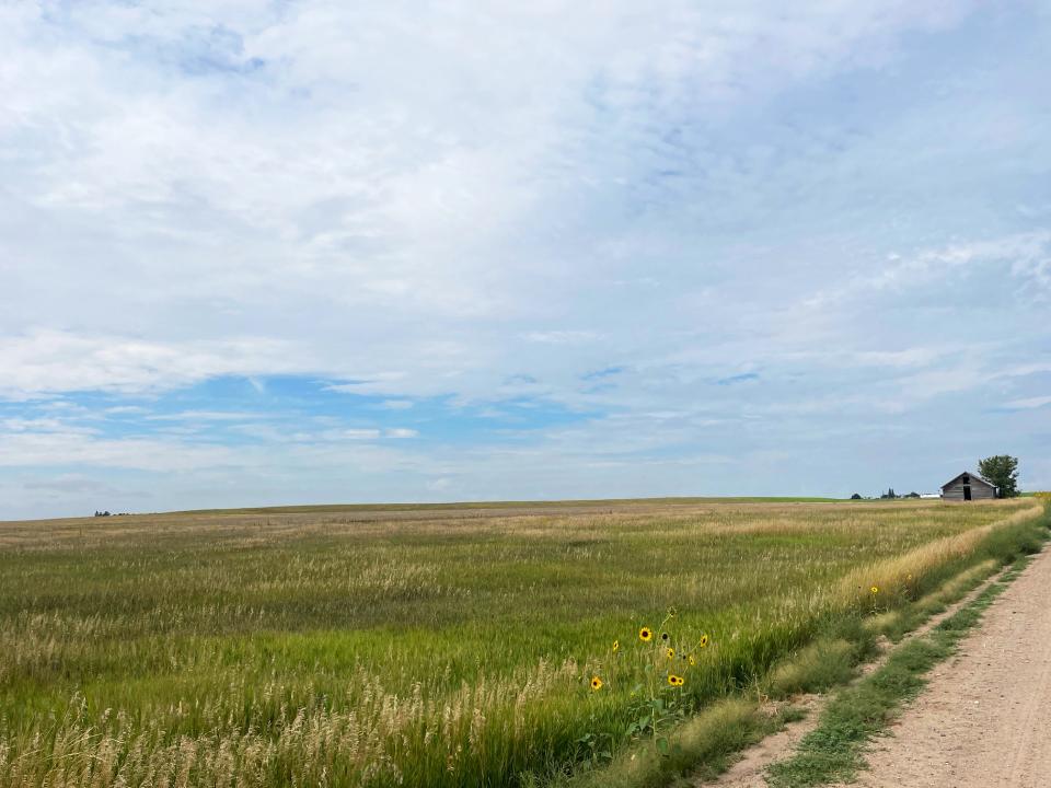 Cheyenne County Nebraska land for sale