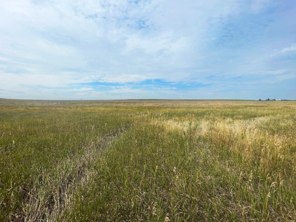 Cheyenne County Nebraska land for sale