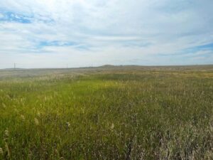 Cheyenne County Nebraska land for sale