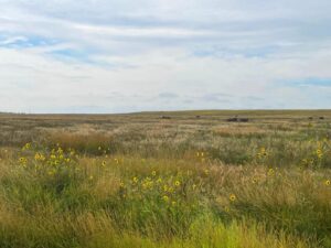 Cheyenne County Nebraska land for sale