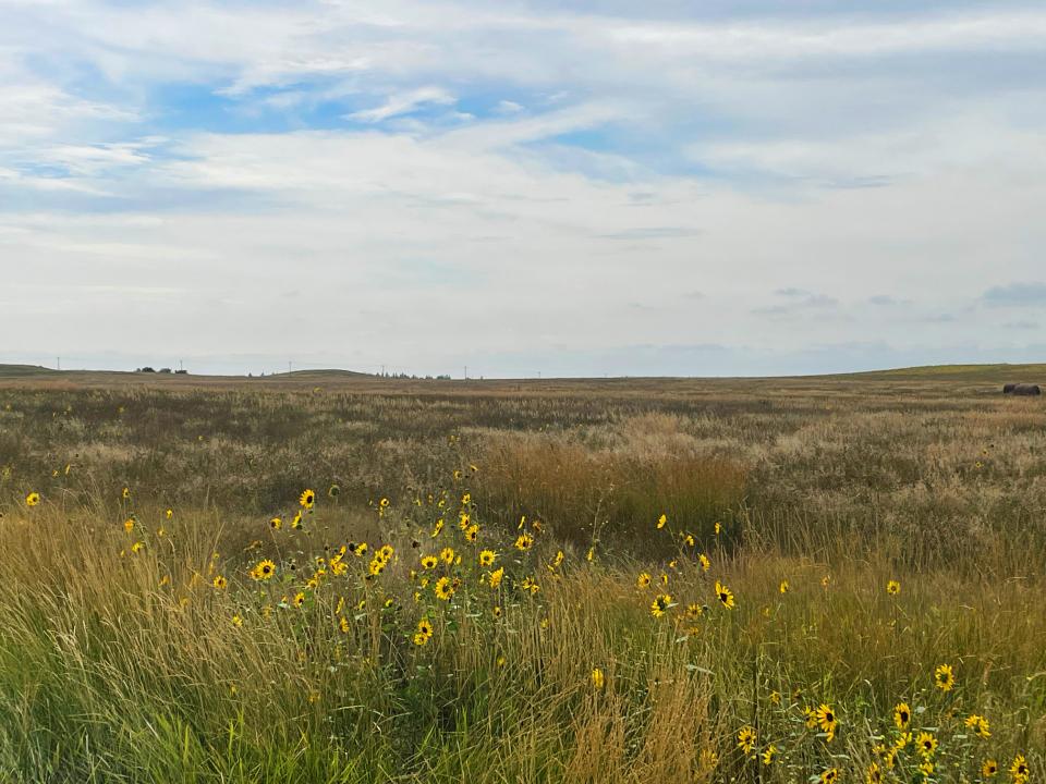 Cheyenne County Nebraska land for sale