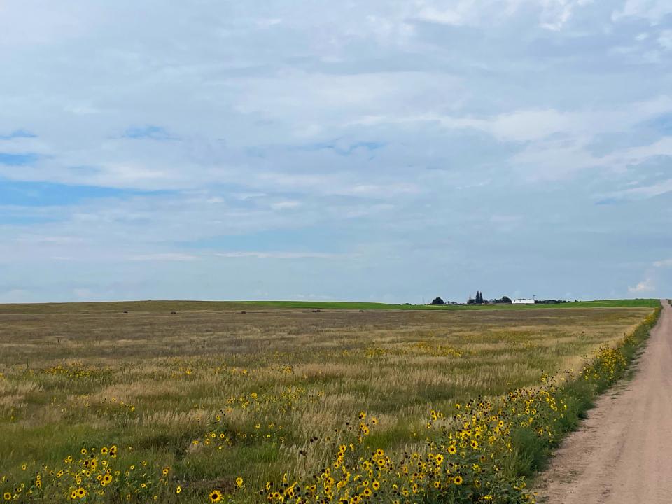 Cheyenne County Nebraska land for sale