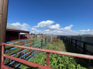 688 Acres, Dawes County, Pine Ridge Ranch and Wildlife