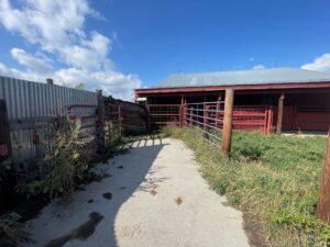 688 Acres, Dawes County, Pine Ridge Ranch and Wildlife