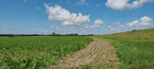 544 Acres, Greeley County, Springdale Ranch