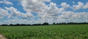 544 Acres, Greeley County, Springdale Ranch