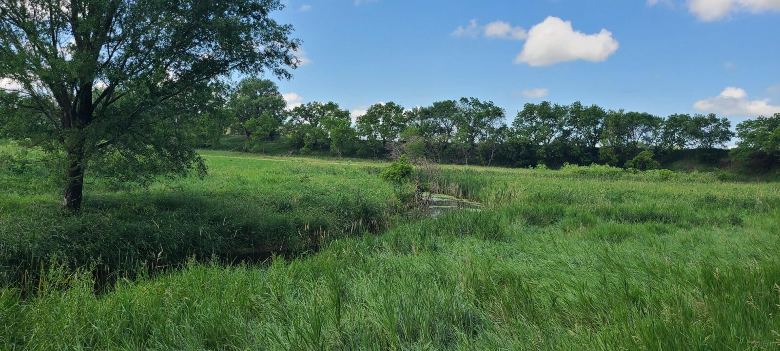 Greeley County, NE land for sale