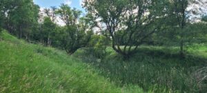Greeley County, NE land for sale