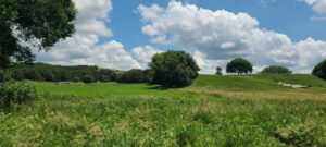 Greeley County, NE land for sale