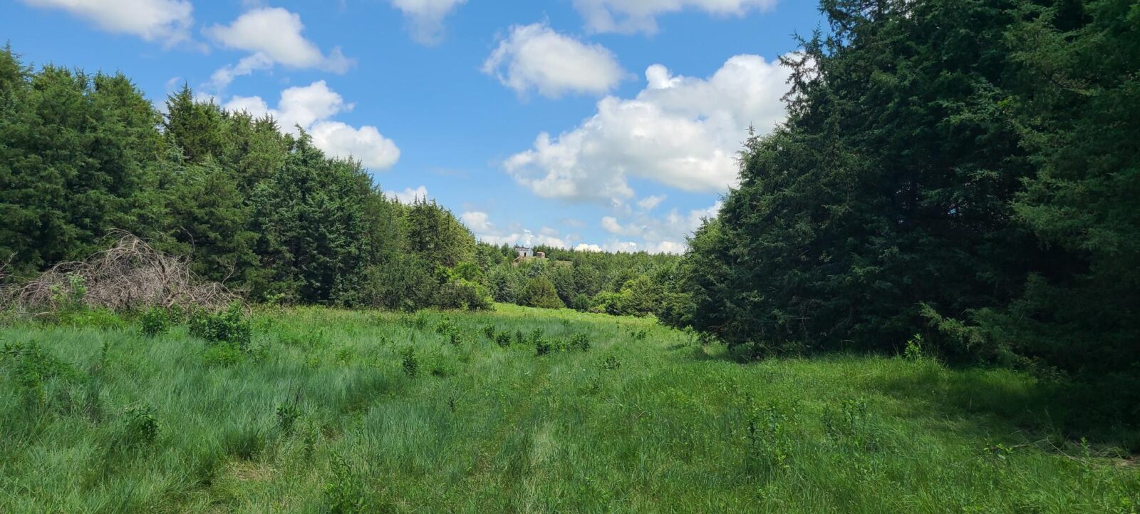 Greeley County, NE land for sale