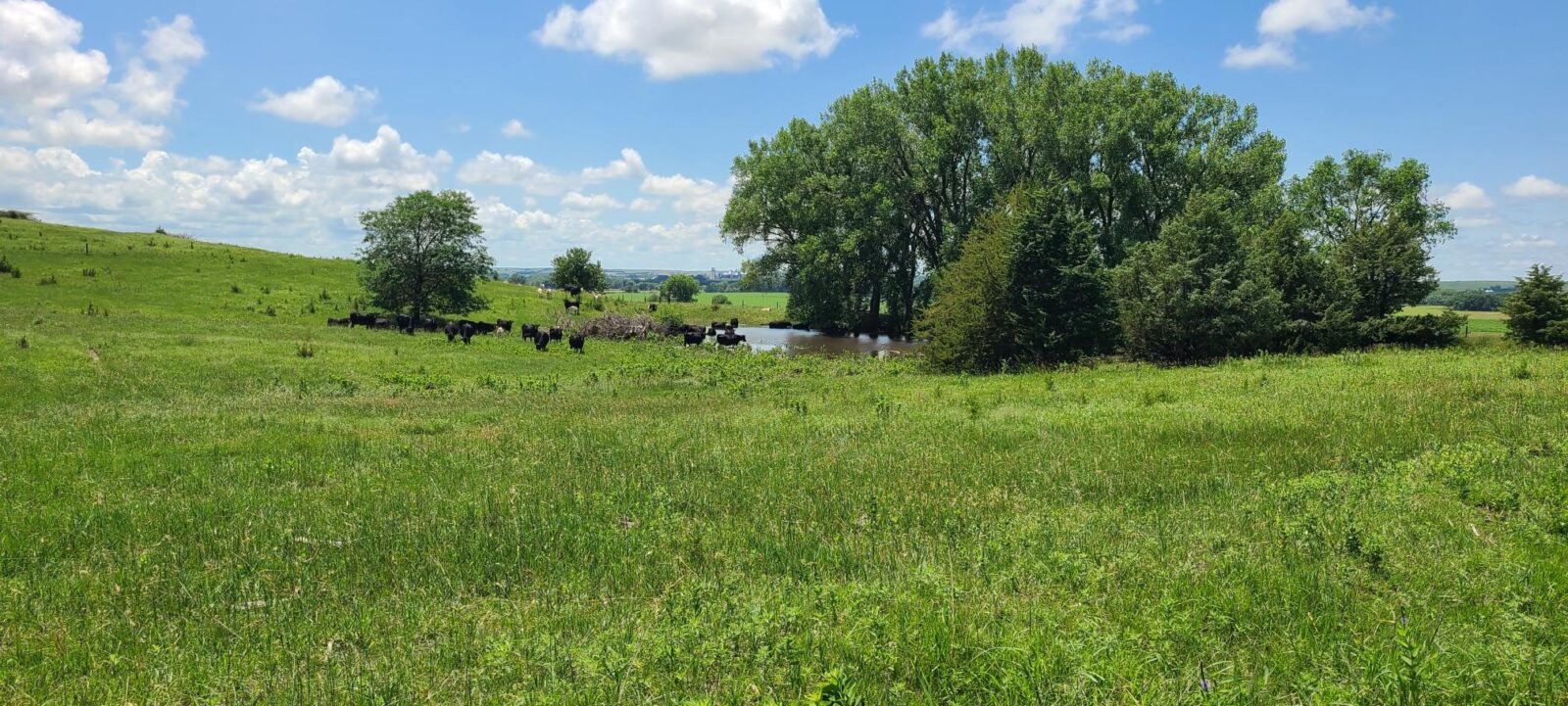 Greeley County, NE land for sale