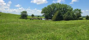 Greeley County, NE land for sale