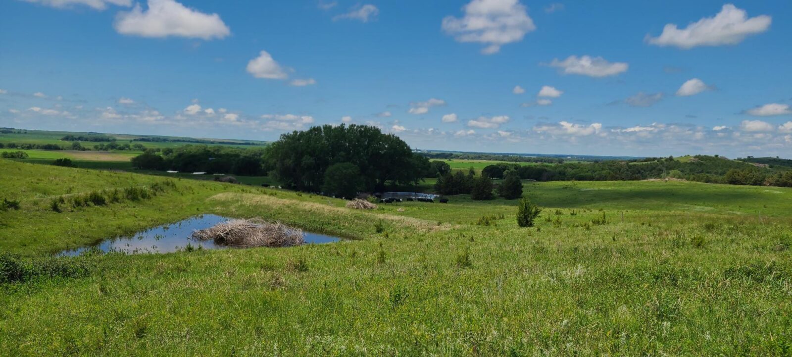 Greeley County, NE land for sale