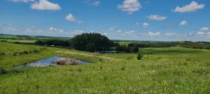 Greeley County, NE land for sale