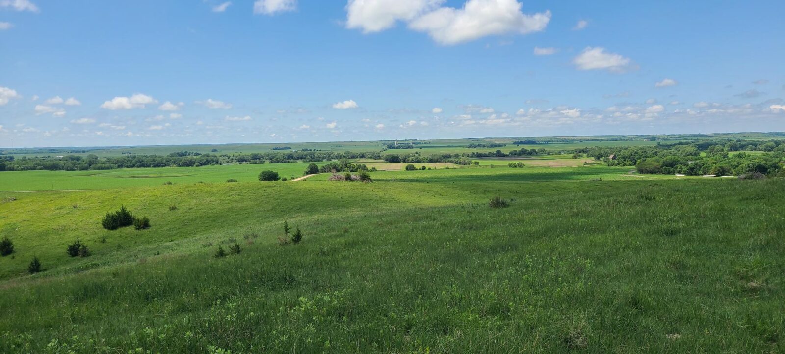 Greeley County, NE land for sale