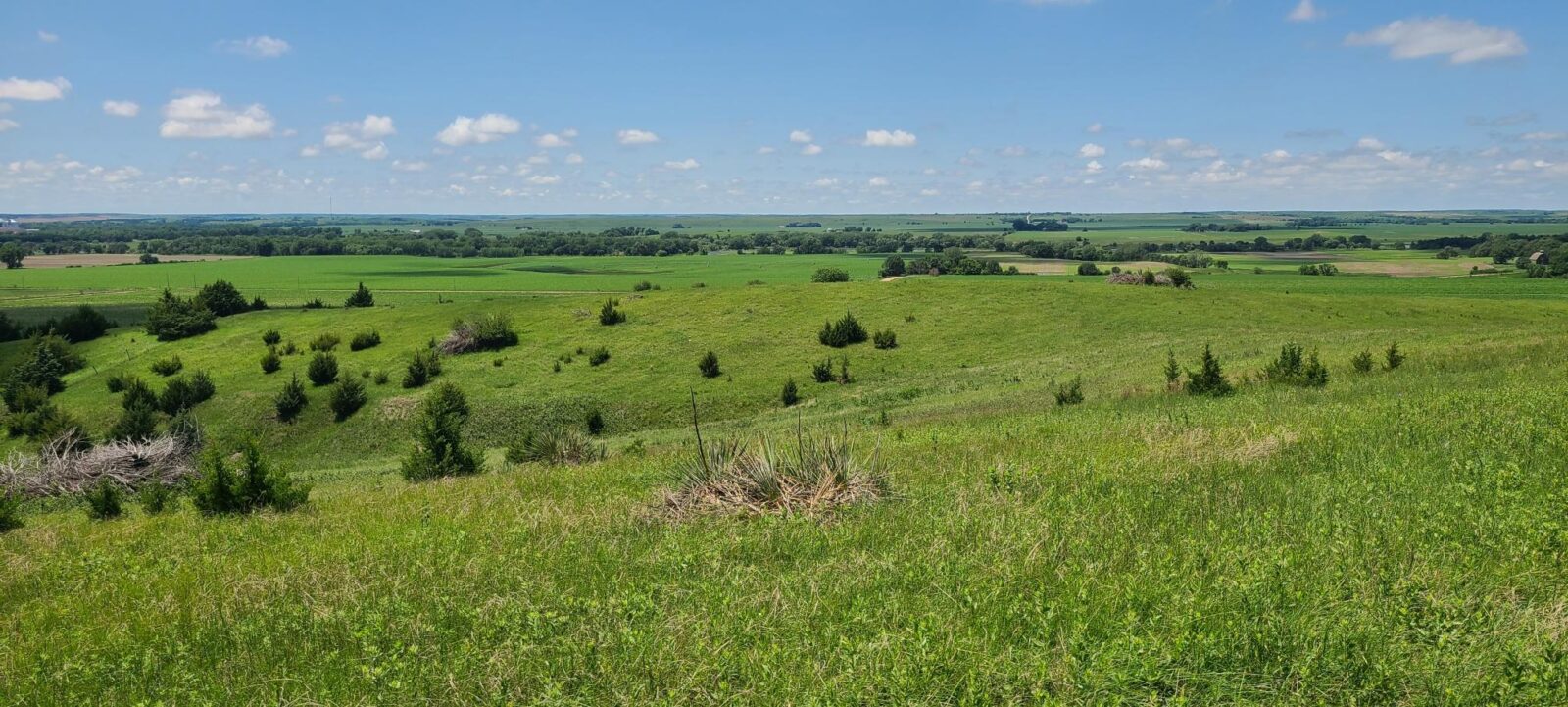 Greeley County, NE land for sale