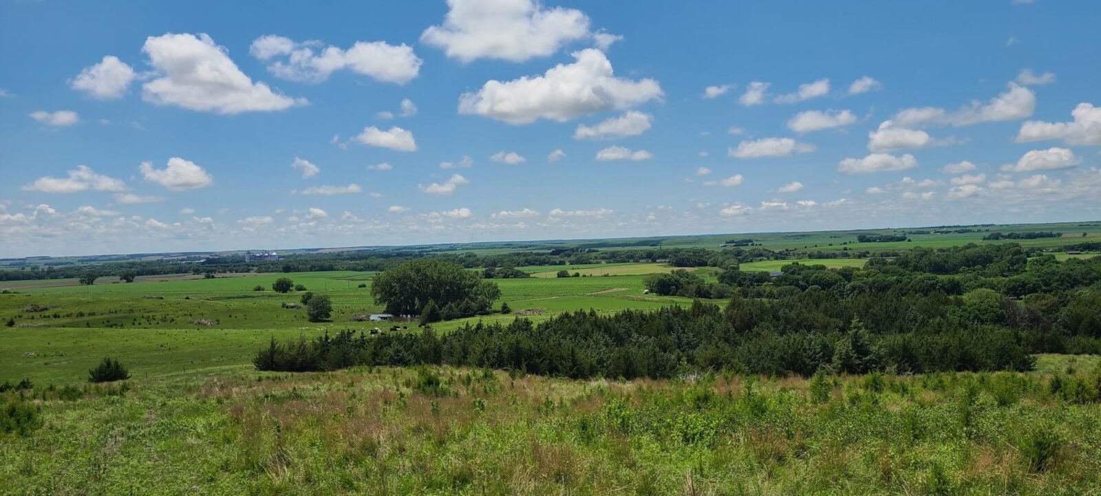 Greeley County, NE land for sale