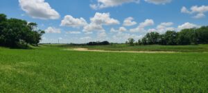 Greeley County, NE land for sale