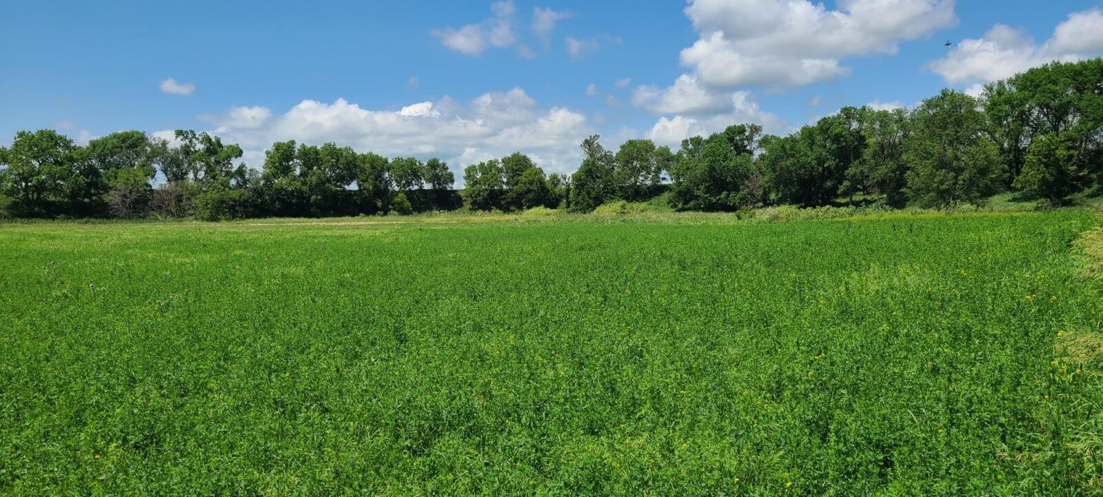 Greeley County, NE land for sale