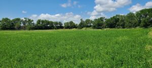 Greeley County, NE land for sale