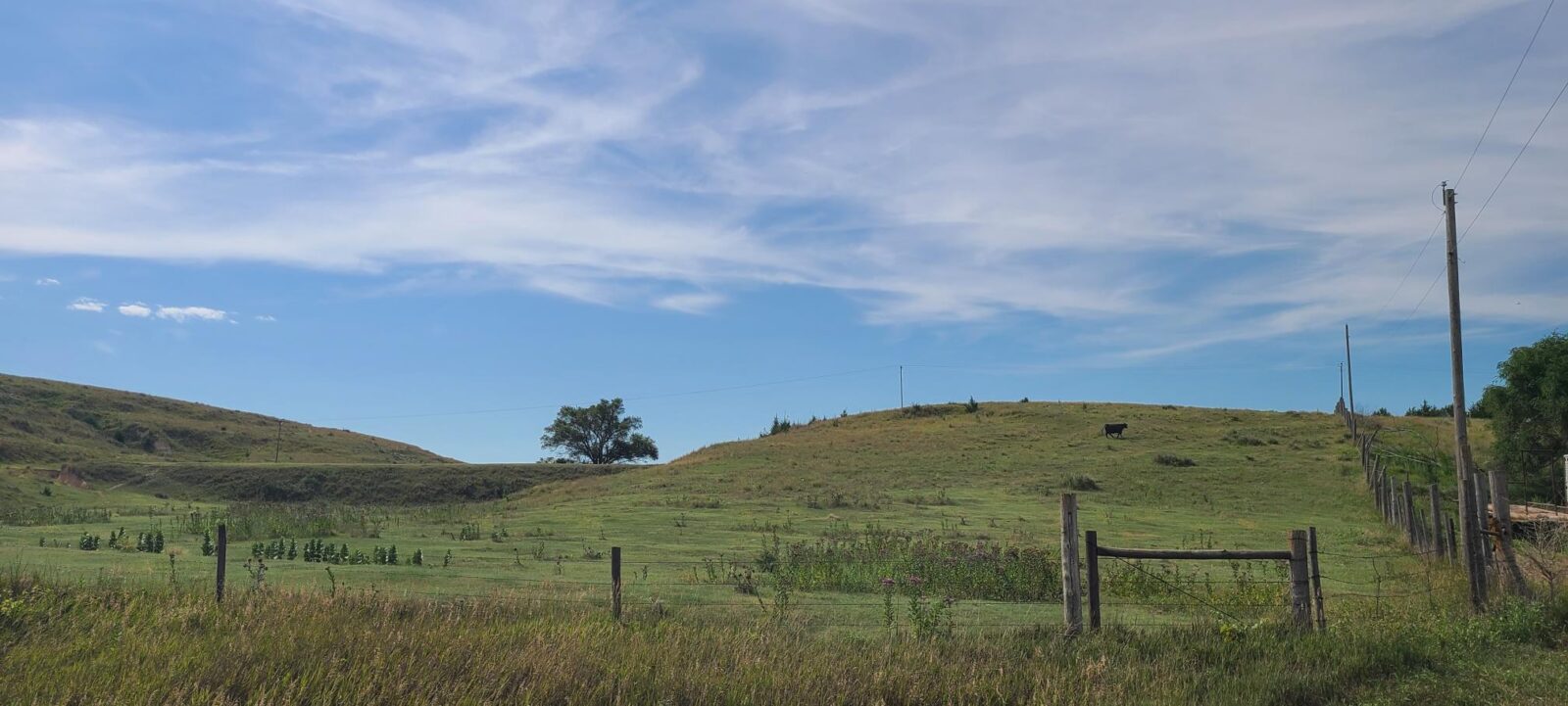 Indianola Red Willow County Land For Sale