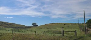 Indianola Red Willow County Land For Sale