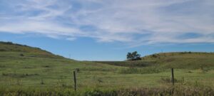 Indianola Red Willow County Land For Sale