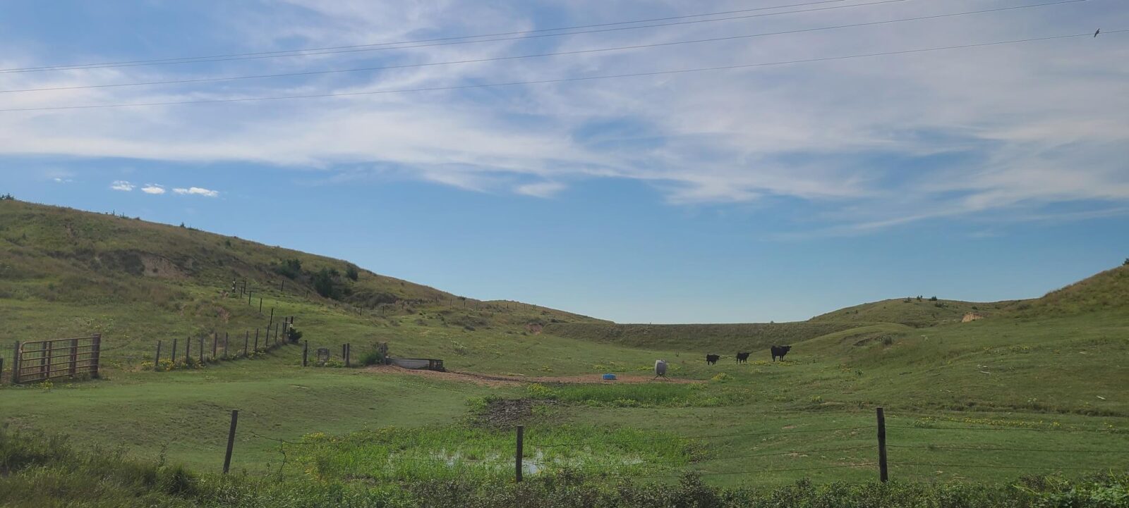 Indianola Red Willow County Land For Sale