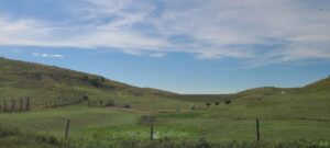 Indianola Red Willow County Land For Sale