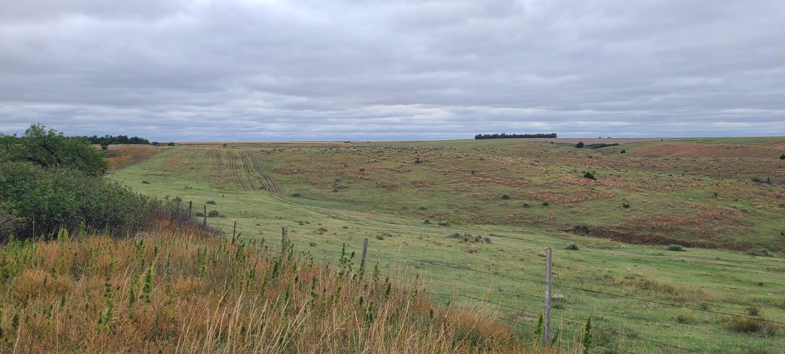 Indianola Red Willow County Land For Sale
