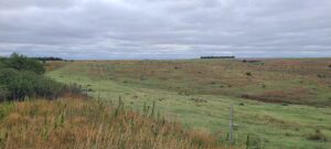 Indianola Red Willow County Land For Sale