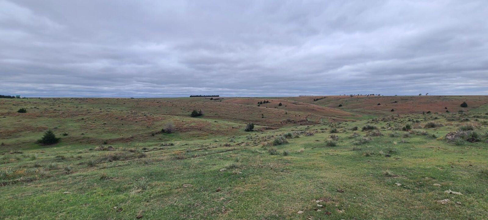 Indianola Red Willow County Land For Sale