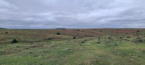 Indianola Red Willow County Land For Sale