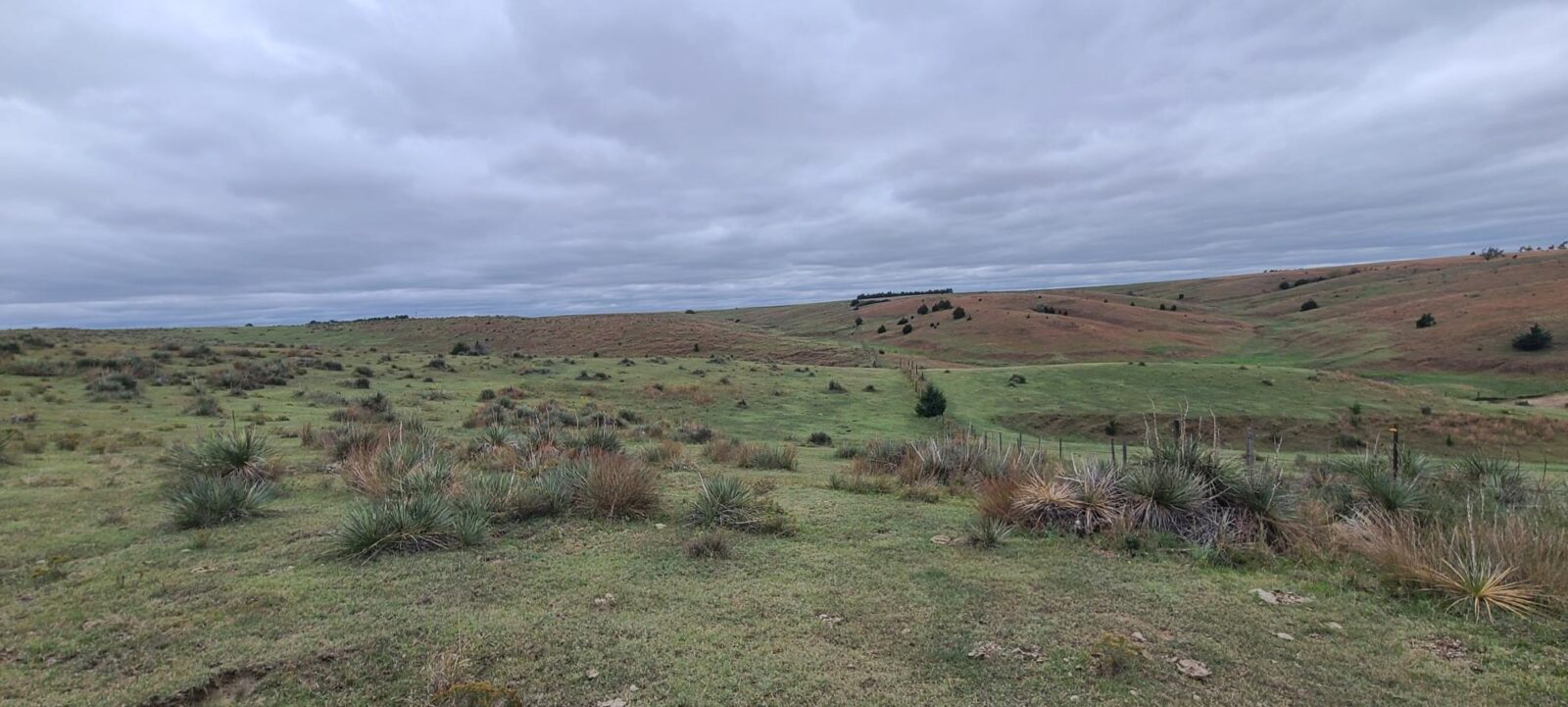 Indianola Red Willow County Land For Sale
