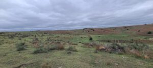 Indianola Red Willow County Land For Sale