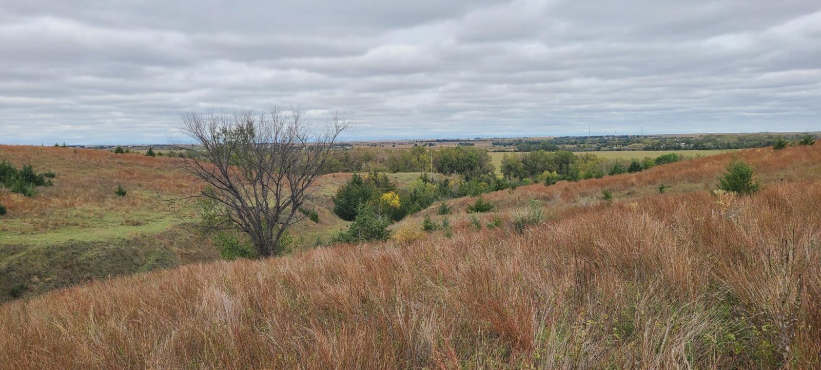 Indianola Red Willow County Land For Sale